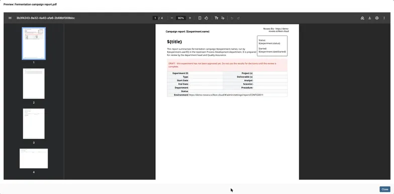 The PDF preview of the template